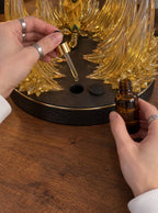 DIO and The World Mist Diffuser Figure – adding oil to the Mist Well | JoJo